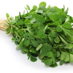 methi, fenugreek leaves isolated on white background