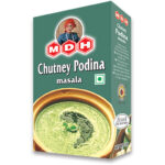 mdh_chutney_podina_100g