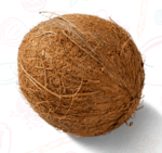 coconut