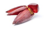 Banana flower isolated on white background