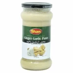 Shan Ginger Garlic Paste 700g